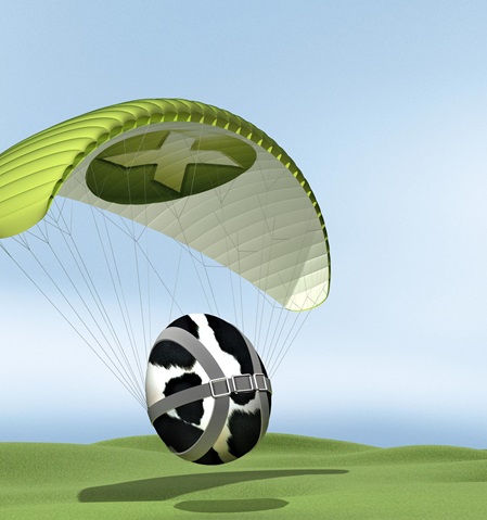 Paraglider